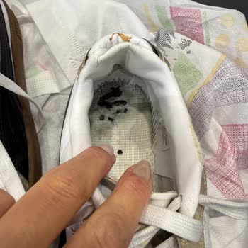 Puma Ayakkabısının Kısa Sürede Yırtılması Ve Mağazanın İade Reddi