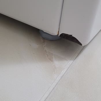 CGA25200TR Çamaşır Makinesinde Kısa Sürede Paslanma Ve Ücretsiz Parça Değişimi Talebi