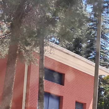 Eryaman Düşünür Koleji Çevre Kirliliği Ve Yönetim İhmali