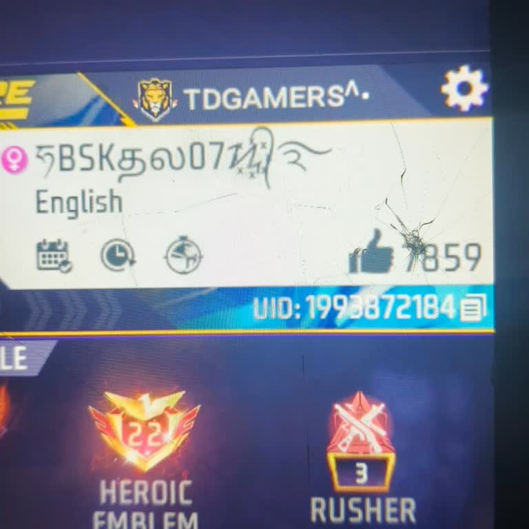 Free Fire Account Hacked and Unable to Access ID