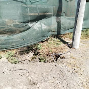 Gediz Elektrik’ten Bahçe Çiti Ve Kırılan Lamba İçin Acil Onarım Talebi