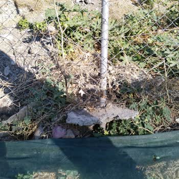 Gediz Elektrik’ten Bahçe Çiti Ve Kırılan Lamba İçin Acil Onarım Talebi