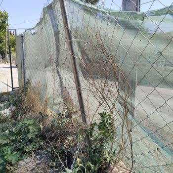 Gediz Elektrik’ten Bahçe Çiti Ve Kırılan Lamba İçin Acil Onarım Talebi