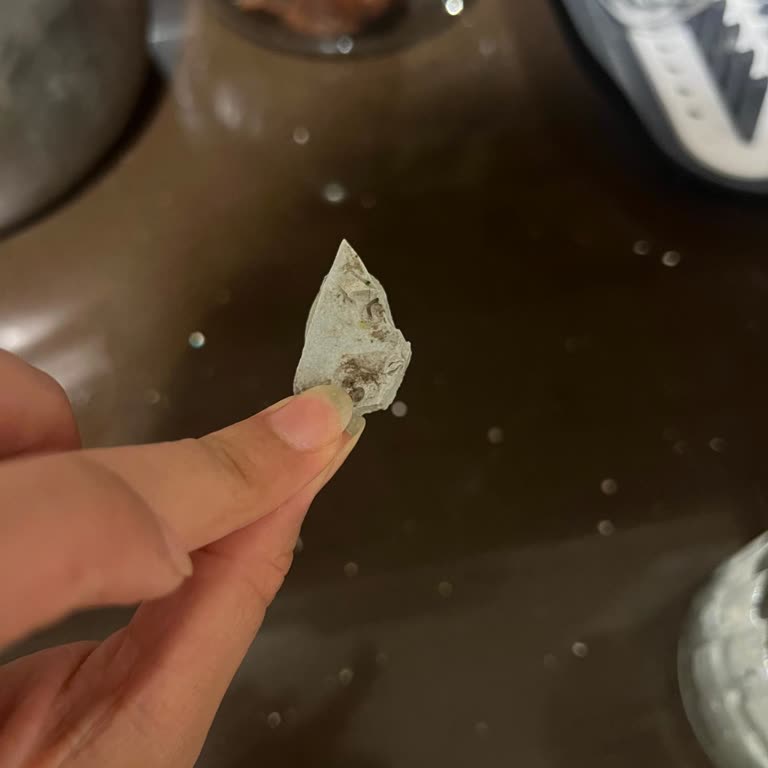 Bebek Sağlığını Tehlikeye Atan Dondurulmuş Sebzelerde Gri Taş Parçası