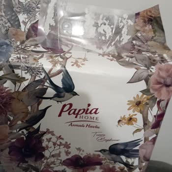 Papia Home Asmalı Havlu Aparatı Duvar Boyasını Çıkarıp Hasara Neden Oldu