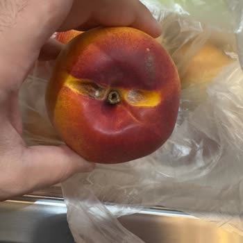 Migros Hemen'de Çürük Domates Ve Nektarin Şikayeti