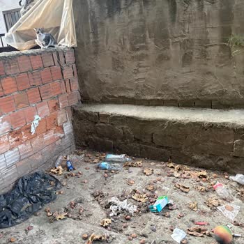 İzmir Belediyesi'nden Yaşlı Engelli Anneanne İçin Fig Ağacı Budama Ve Temizlik Talebi