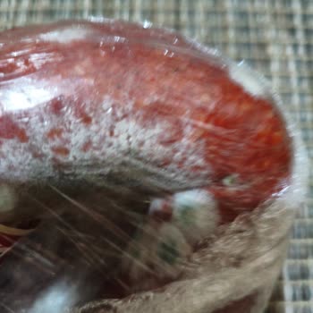 Küflenen Sucuk İçin Değişim Talebi Ve Mağduriyet Şikayeti