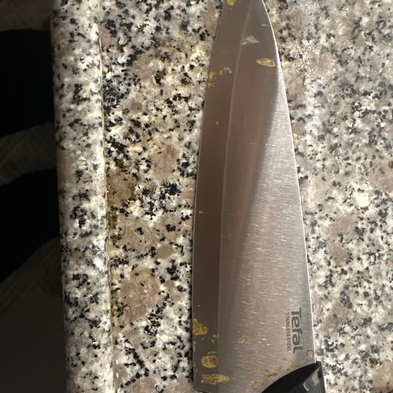 Tefal Stainless Steel Knife Rusted After Only Three Months