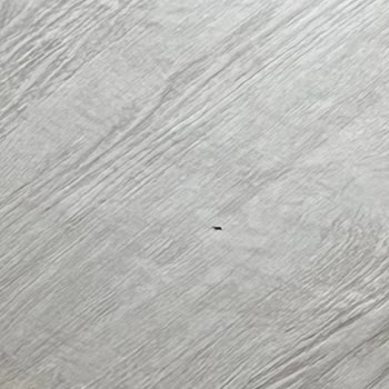 Teşhir Ürün Teslim Edildi, Hasarlı Sehpa Ve Fiyat Artışı Sorunu