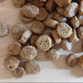 Purina Pro Plan Kedi Maması Bayat, Değişim Ve Ücret İadesi Talebi