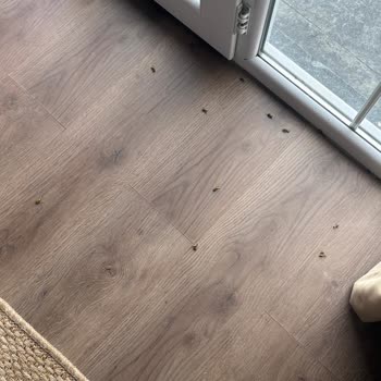 Temizlik Ve Hijyen Sorunları, Kapı Kilidi Problemi Ve Ücretli İkram Şeffaflığı Eksik