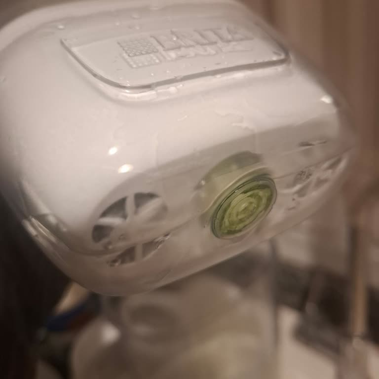 Brita Sürahisinde Yosunlanma Ve Hijyen Endişesi
