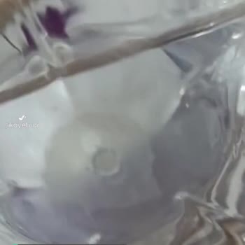 Ceysu İçerisinde Yüzen Beyaz Peçete Gibi Şeyler Var