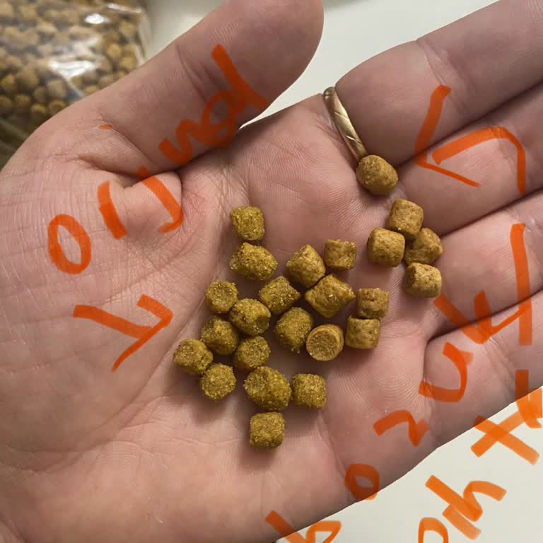 Epttavm'den Gelen Hill's Cat Food'unda Kötü Koku Ve Kedide İshal Ve Sahte Ürün Şüphesi