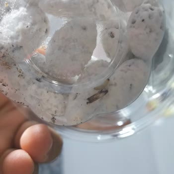Müşteriyi Endişelendiren Küflenmiş Ve Kurtlanmış Badem Şekeri