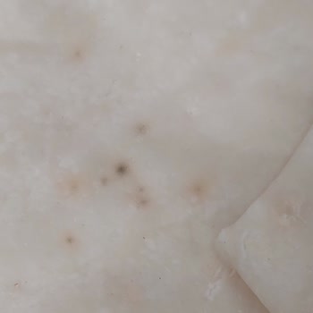 Küflü Yufka Ve Bozuk Tavukla Karşılaşılan Sağlık Tehlikesi