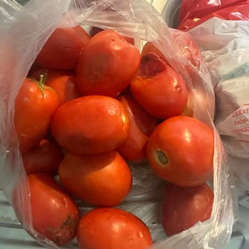 Migros Sanal Market’te Hasarlı Ve Küflü Ürünlere Yanıt Ve Destek Eksikliği