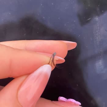 Tuğçe Yüce Beauty Kirpikler Ertesi Gün Kendi Kendine Düşüyor Ve Gözlerimde Büyük Boşluklar Oluşuyor
