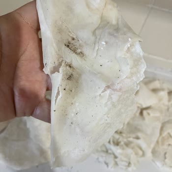 BİM Yufkasında Parça Parça Dağılma Ve Siyah Lekeler