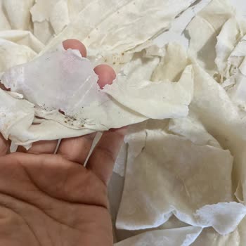 BİM Yufkasında Parça Parça Dağılma Ve Siyah Lekeler