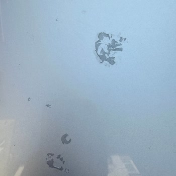 Garanti Kapsamındaki Kaput Sorunu İçin Cevapsız Ve İlgisiz Servis