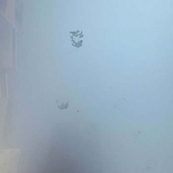 Garanti Kapsamındaki Kaput Sorunu İçin Cevapsız Ve İlgisiz Servis
