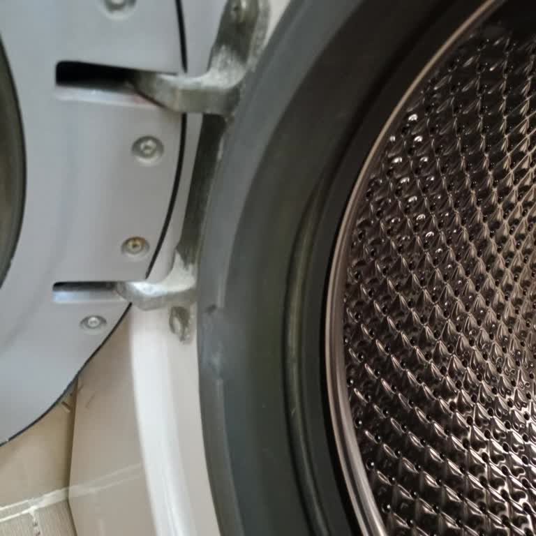 Garanti Kapsamındaki Çamaşır Makinesi Körük Lastiği Arızası Ücretsiz Olmalı