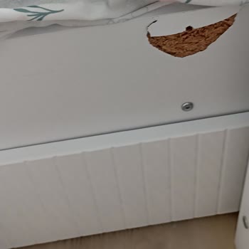 Garanti Kapsamındaki Çocuk Yatağının Yan Koruması Ücretli Onarım Talebi
