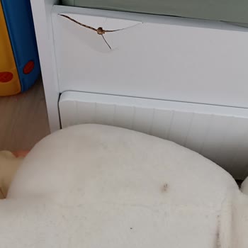 Garanti Kapsamındaki Çocuk Yatağının Yan Koruması Ücretli Onarım Talebi