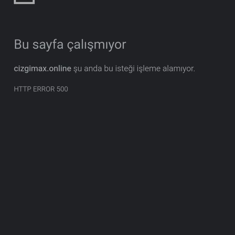Web Sitesine Erişim Sorunu Ve 500 Hatası