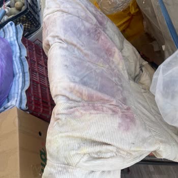 Bershka Beyaz Kadife Montta Renk Değişimi Ve Lekelenme Sorunu
