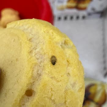 Profiterolde Yabancı Cisim Ve Sağlık Riski