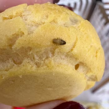 Profiterolde Yabancı Cisim Ve Sağlık Riski