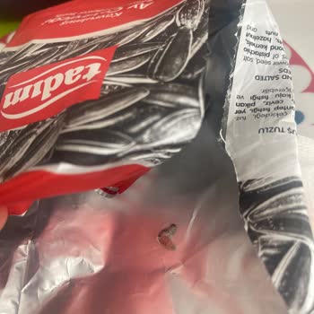 Tadım Ay Çekirdeği Ürününde Canlı Böcek Tespiti