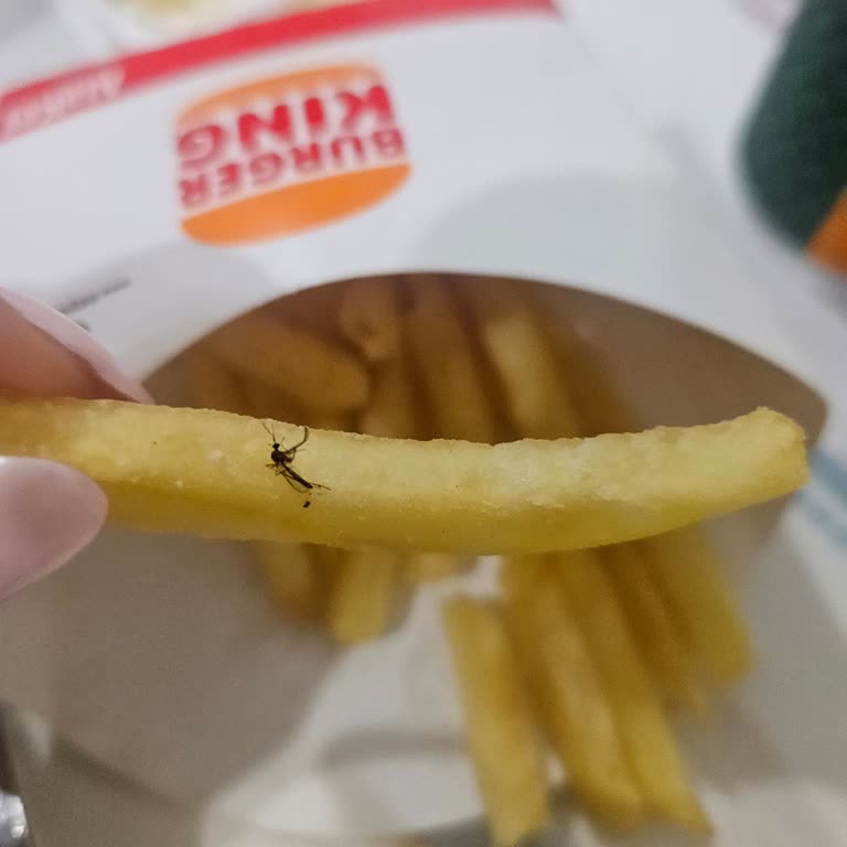 Patates Kızartmasında Böcek Görülmesi Ve Hijyen İhlali