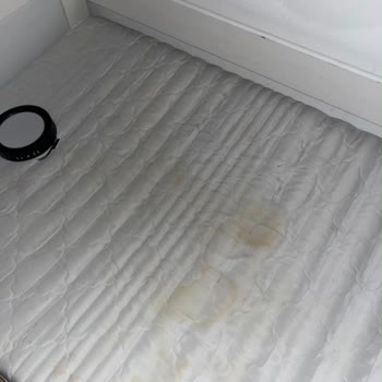 Sağlıksız Konaklama Ve Ulaşılamaz Danışmanlık Nedeniyle Ücret İadesi Talebi
