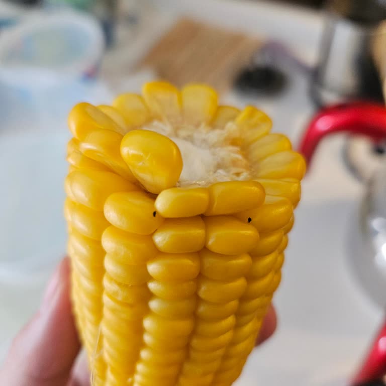Böceklenmiş Taze Mısır Ürünü Ve İade Talebi