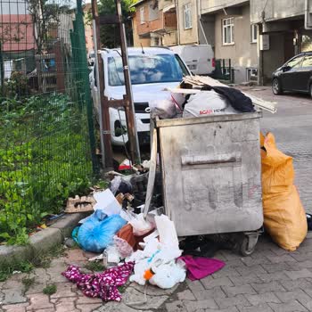 Mecidiye Mahallesi Bahariye Sokakta Sürekli Temizlik İhmaline Karşı Şikayet