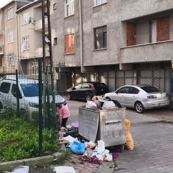 Mecidiye Mahallesi Bahariye Sokakta Sürekli Temizlik İhmaline Karşı Şikayet