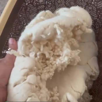 Yüncü Hanım Yün Yastık Deforme Oldu