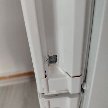 Üç Yıllık Bosch Buzdolabında Kapak Boyası Dökülmesi Ve Garanti Sonrası Destek Talebi