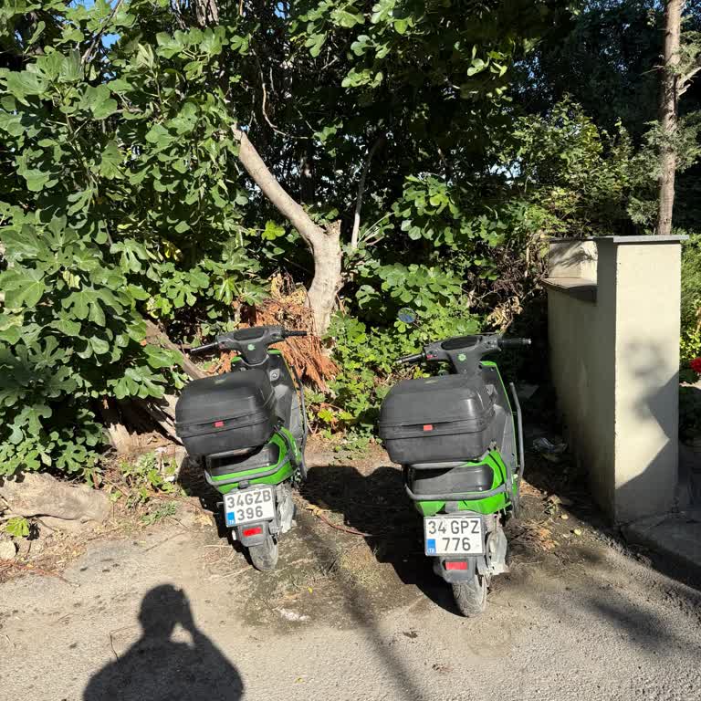 Martı Scooterları Bina Girişini Engelliyor Ve Şirket Yanıt Vermiyor