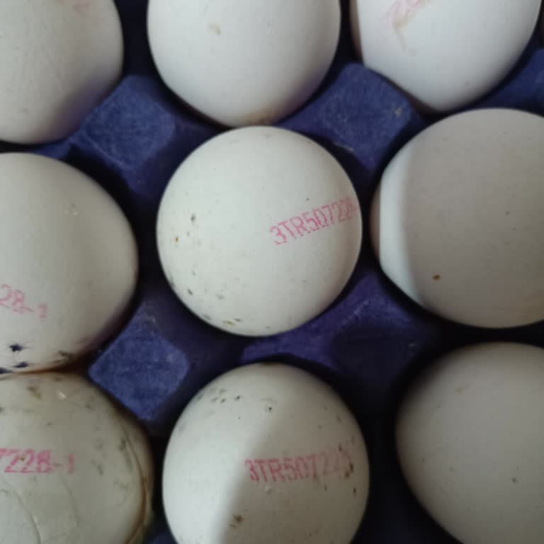 Küflü Yumurta Satışı Ve Tekrarlayan Gıda Güvenliği Sorunları