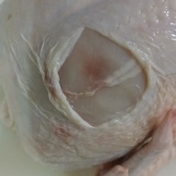 Şenpiliç Tavukta Lezyon Ve Kırmızı Lekeler Görüldü, İade Talebi