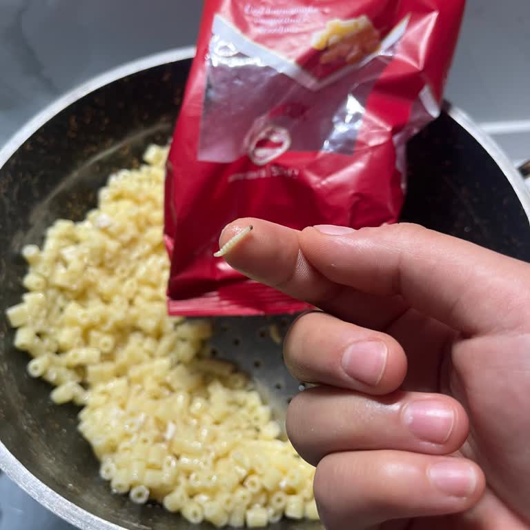 Makarnada Böcek Bulunması Ve Hijyen İhlali