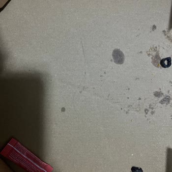 Domino’s Pizza’da Saç Teli Hijyen İhlali Ve İade Reddi
