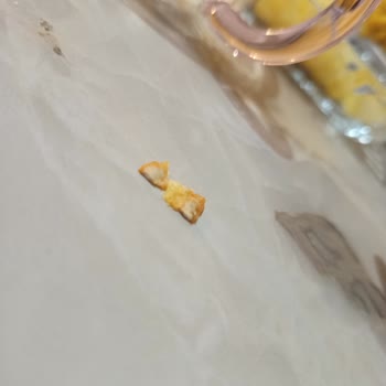 Lay’s Cipsinde Pişmiş Kurt Görüldü