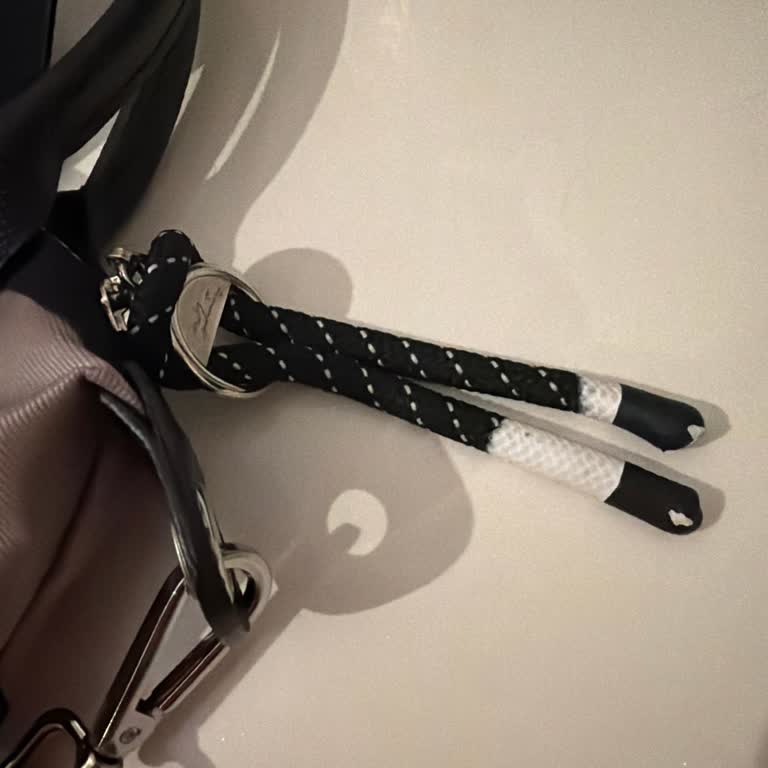 Ayıplı Longchamp Çantası İçin İade Ve Tam Geri Ödeme Talebi