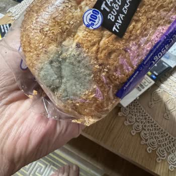 Getir'den Gelen Mantarlı Tava Ekmeği Nedeniyle Ailede Şiddetli Gıda Zehirlenmesi